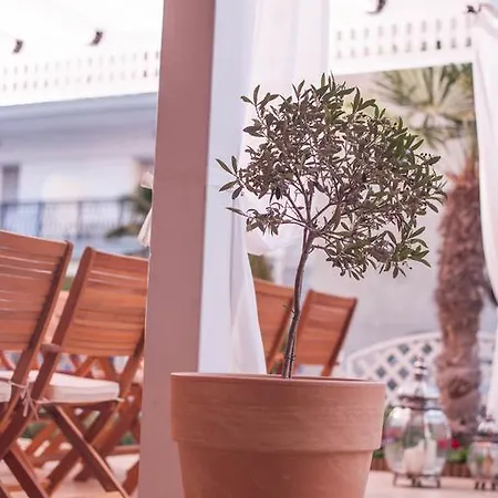 Vizantio 3* Paralía