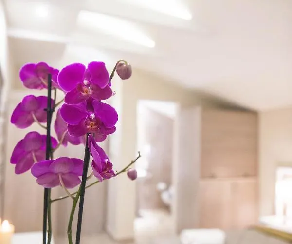 Vizantio 3* Paralía